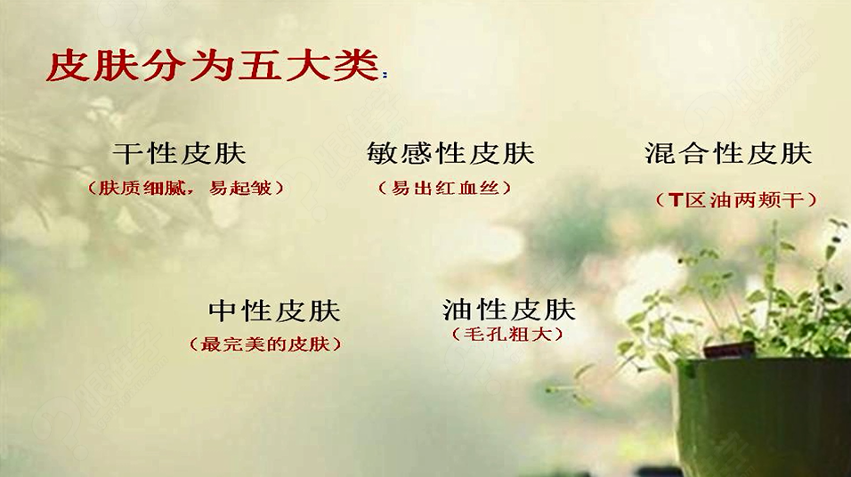 干性,敏感,混合,中性,油性五大皮肤特点