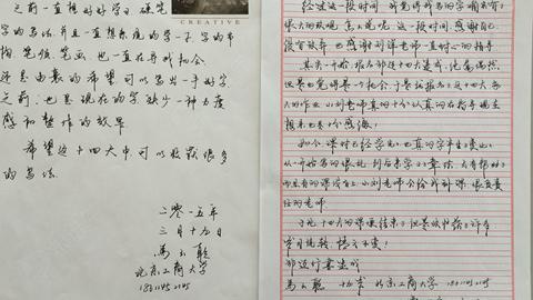 15天速成练字班 (行楷体-美观 易认)_硬笔书法_刘洋