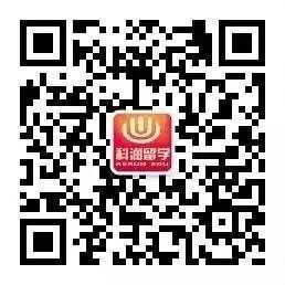 欧元兑换人民币_5000欧元收入(2)