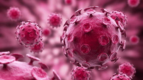 2017年东营地理生物会考寒假冲刺班_初三_高