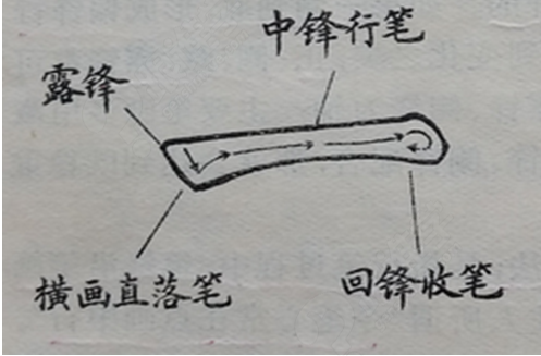 24317918_clut2kh8.png