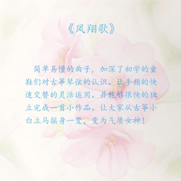 古筝曲《凤翔歌》详解