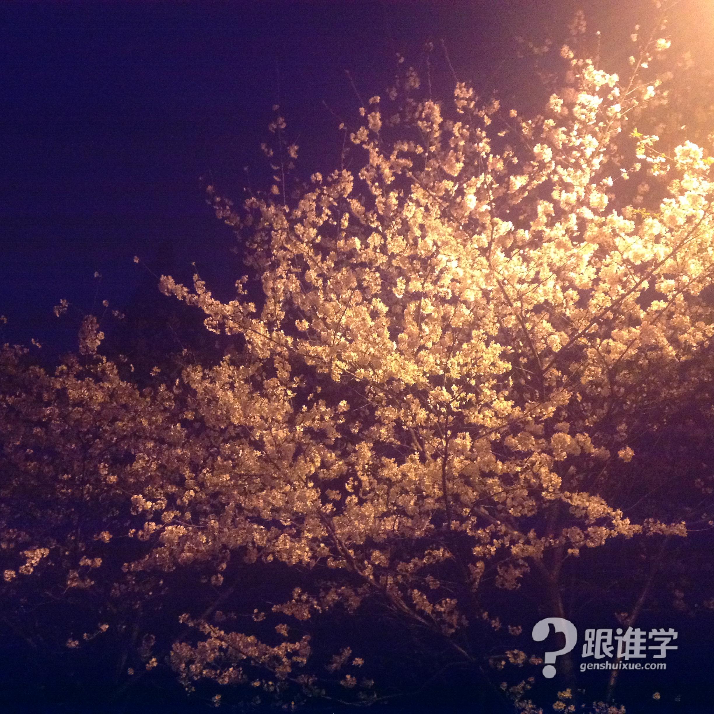 胡佳慧的个人相册跟谁学