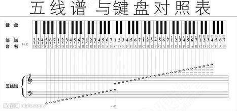 初学钢琴的8个指法图【相关词_ 初学钢琴指法