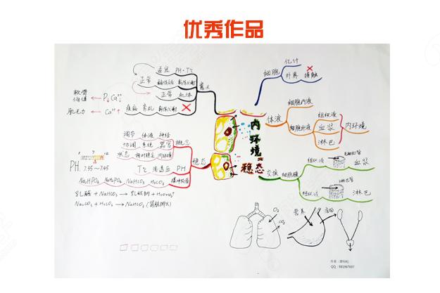 不再脑囧--超级记忆 思维导图 基础篇