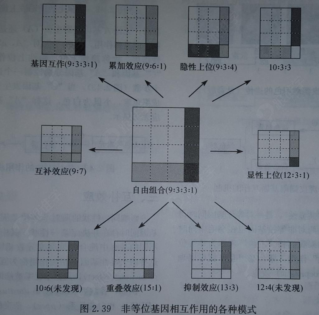 20151207_233042_看图王.jpg