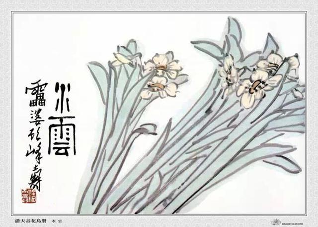 潘天寿大师花鸟册页欣赏