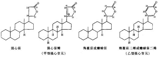 一,强心苷元部分的结构与分类 强心苷元属甾体衍生物,其结构特征