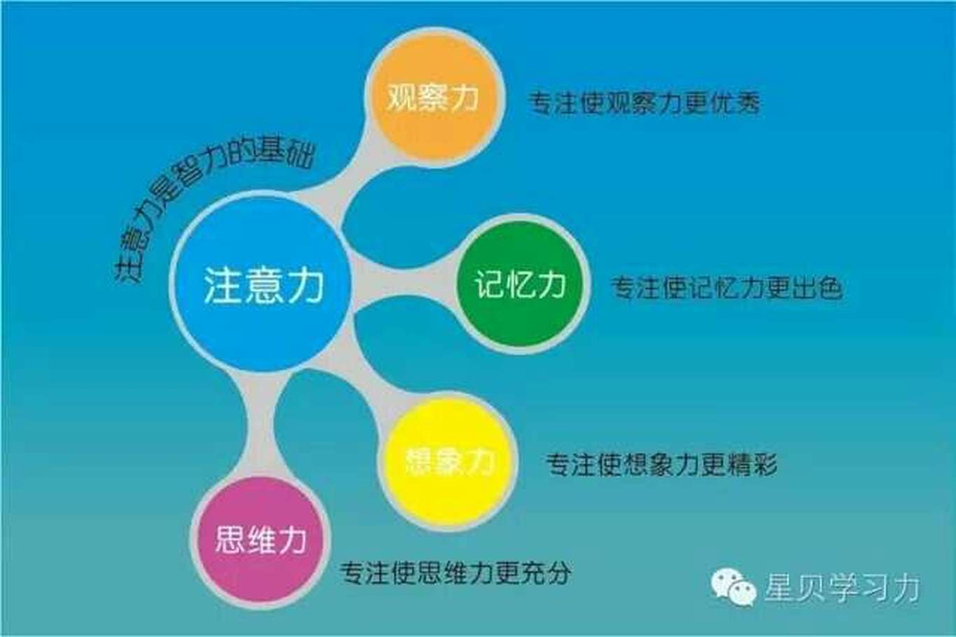 注意力训练机构