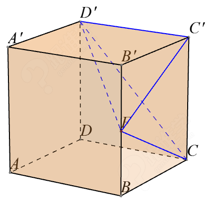 高中数学论文立体几何