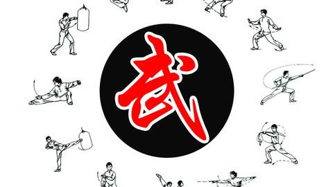 【免费】金山武学-经典传承(体验课两节)_传统武术_王胜岗-跟谁学