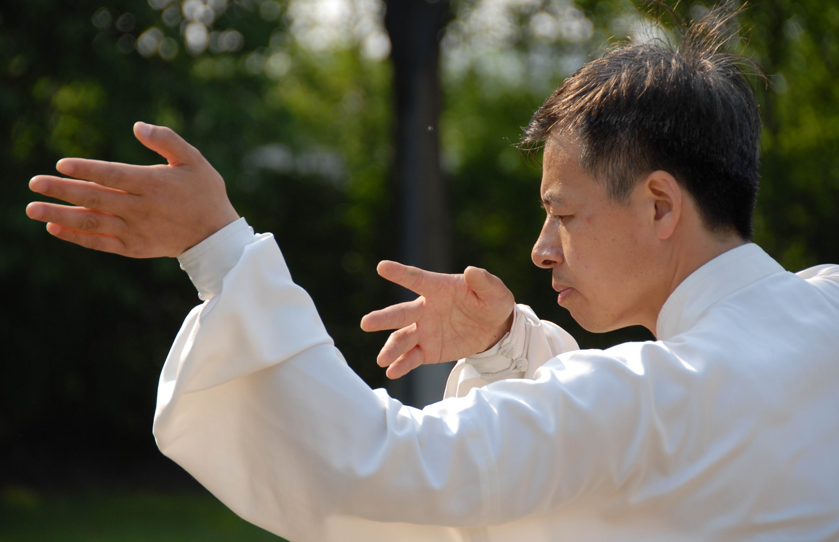 国学武道,预约试听